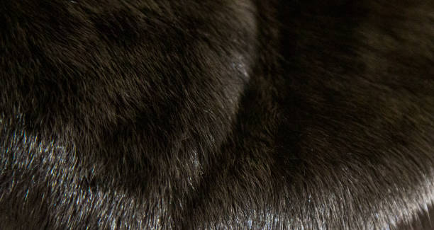 istock Black mink coat isolated on white background. Luxury natural fur 1285094417