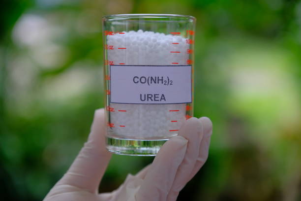 Urea for substrate and fertilizer in agriculture Urea for substrate and fertilizer in agriculture ammonia fertilizer stock pictures, royalty-free photos & images