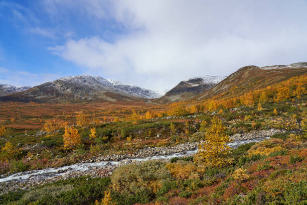 istock Mountain landscape in autumn with downy birch trees, Hemsedal Buskerud, Norway 1285098893
