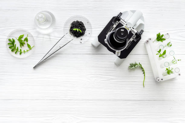 istock Biologist researching plants with microscope in biological chemistry lab 1285101764