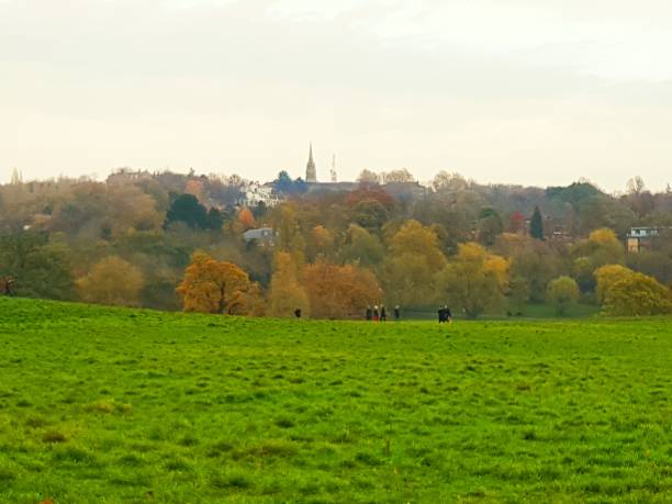 Autumn in the Heath