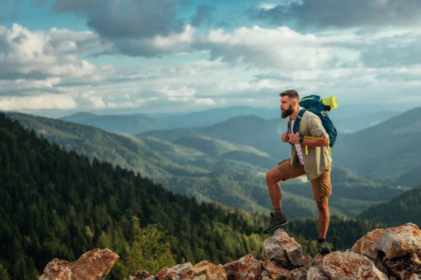 istock That spot looks great for a picnic 1285103132