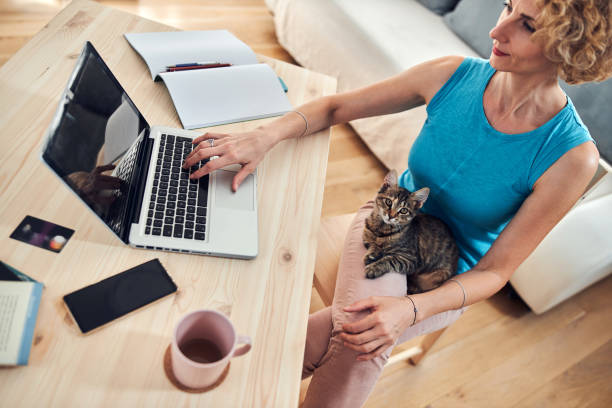 istock Woman working from home on a laptop / notebook with cat pet with her. 1285104784