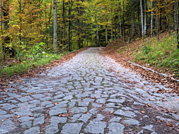 istock Cobblestone hiking path called Royal Path (Poteca Regala) in Sinaia, Romania. 1285105138