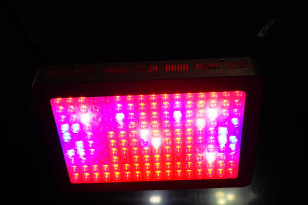istock LED Photo lamp for plant with spectrum 1285106061