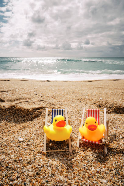Beach holiday concept.\nTwo rubber ducks sat in miniature deckchairs on Porthcurno beach, Cornwall on a bright cloudy/sunny day.