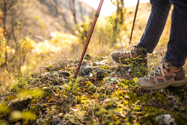 istock Hiking in the mountains 1285108987