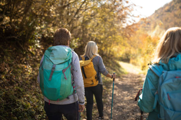 istock Senior female friends exploring nature during hiking 1285109709