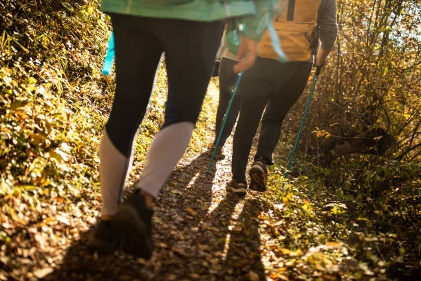 istock Female friends hiking on beautiful day 1285109767