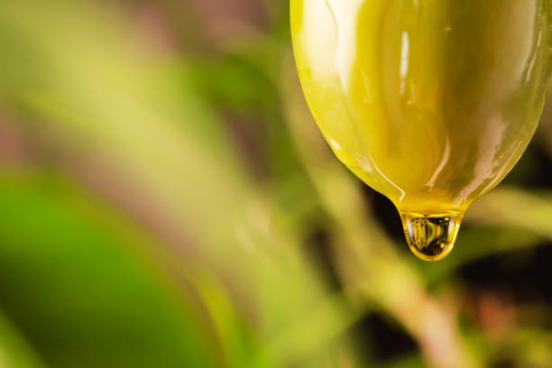 Drop of olive oil drips from green olive.