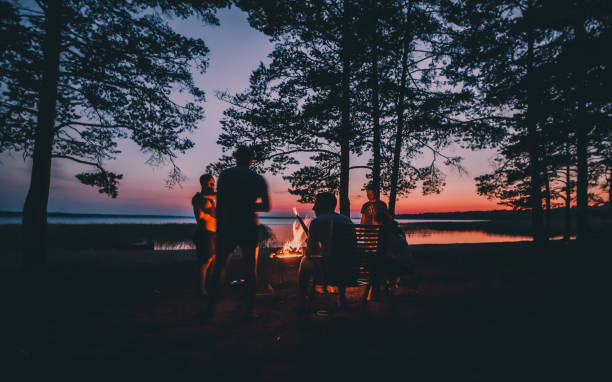 gruppo di giovani amici felici seduti accanto al fuoco sulla spiaggia estiva. alberi alti intorno - friendly fire foto e immagini stock
