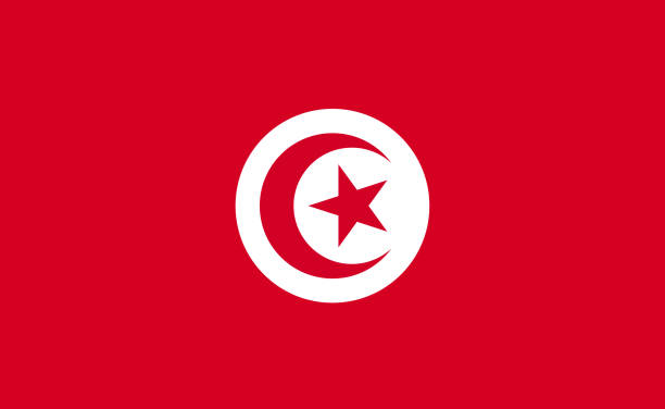tunus ulusal bayrağı tam oranlarda - vektör - tunisia stock illustrations
