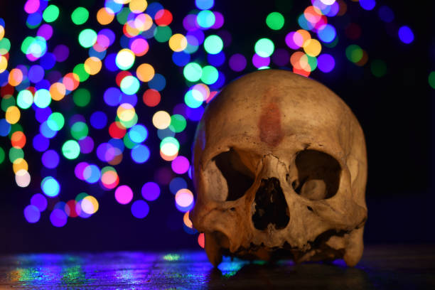 Human skeleton head or skull in the Dark with blurred colourful lights background - Halloween Festival