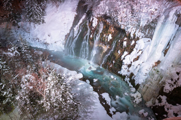 Biei, Hokkaido, Japan at the Blue River illuminated on a winter's night.