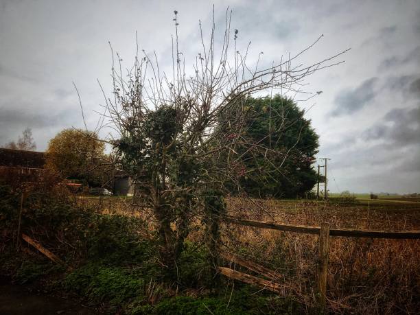 istock Stormy day, autumnal view over open fields 1285111958