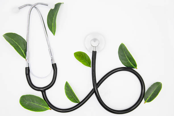 istock Stethoscope with green leaves 1285115153