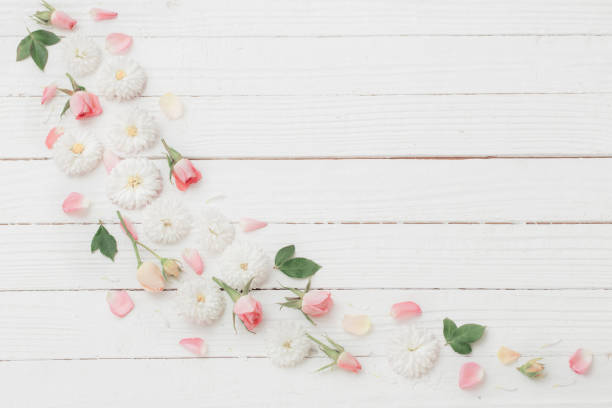 istock pink and white flowers on white wooden background 1285119661
