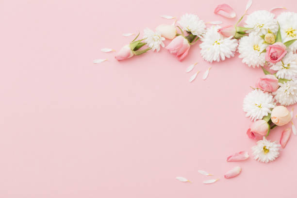istock pink and white flowers on pink paper background 1285119662