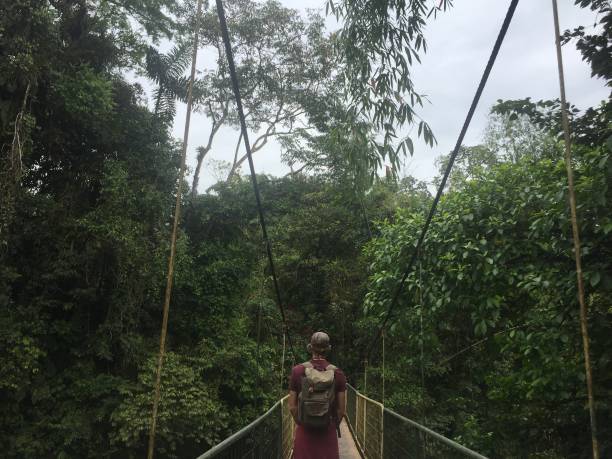 istock A backpacker that is walking over a metal footbridge found in a tropical garden 1285120423