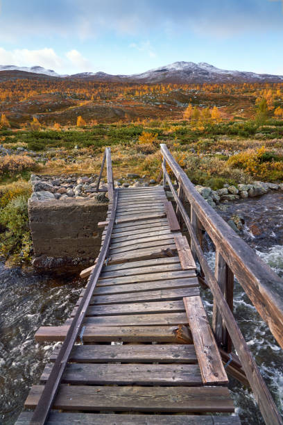 istock Mountain landscape in autumn with downy birch trees, Hemsedal Buskerud, Norway 1285126768