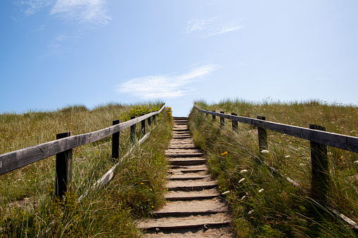 Wooden stairs surrounded with green grass that lead to a sand beach in Ireland