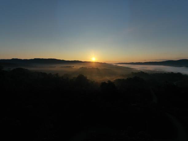 istock Aerial view over a tropical forest during sunrise while the first rays of sun are beaming over the layer of fog still covering the forest 1285127535