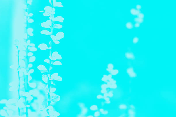 istock Abstract blurry meadow with artistic lines and dots background 1285132478