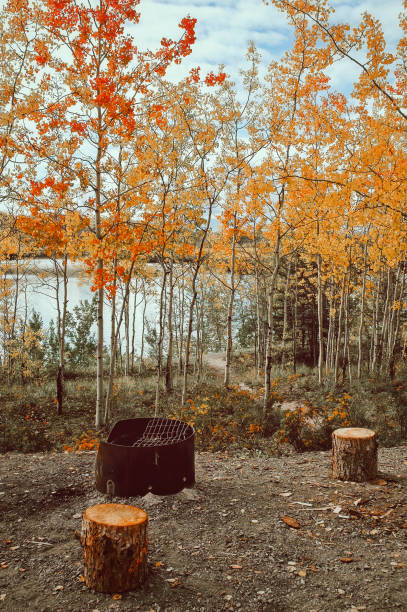 istock Picnic site near the river in Yukon, Canada 1285132498