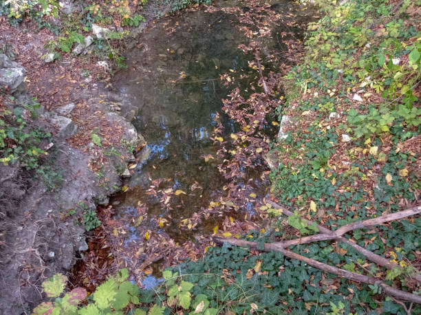 istock Broken trees, a pond and overgrown slopes. 1285132538