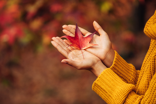 Woman holding an autumn leaf