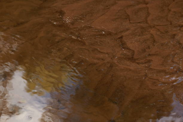 istock Sandy creek bottom, waves and ripples in shallow water 1285134445