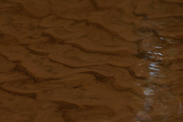 istock Sandy creek bottom, waves and ripples in shallow water 1285134483