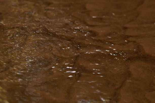 istock Sandy creek bottom, waves and ripples in shallow water 1285134523