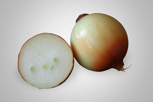 Onion and onion slice close-up isolated on grey background