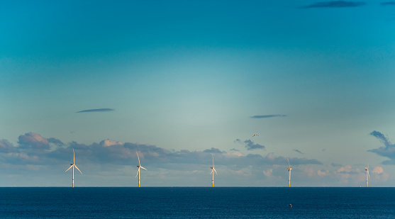 North Sea wind turbine farm off the coast of Whitley Bay.