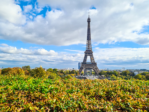 In September 2020, tourists could admire from the Esplanade du Trocadero the Eiffel Tower over a bush, in Paris.