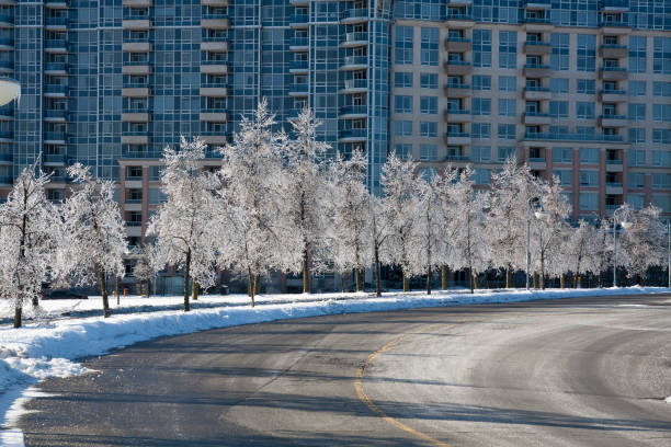 An ice wrapped fence.