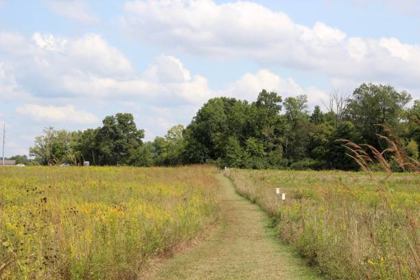 istock Empty Grass Trail in the Country Field. 1285149887
