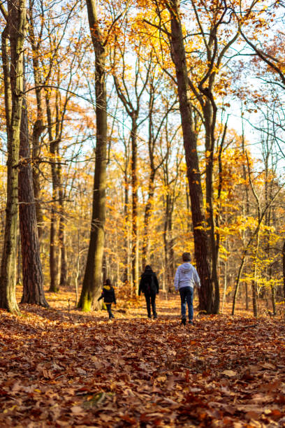 istock family walk in autumn forest low angle 1285153674