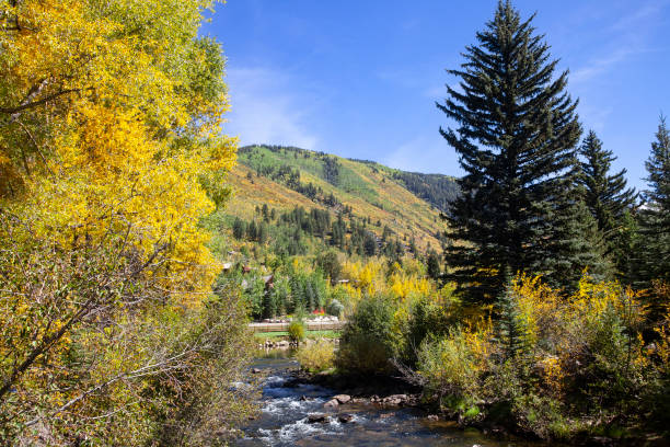 istock Running Stream in the Colorado Wilderness 1285154684