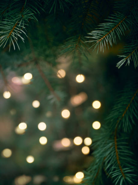 istock Christmas fir branches with garland defocused lights 1285155224