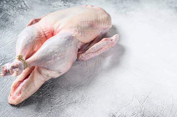 istock Raw whole duck, poultry meat. White background. Top view. Space for text 1285156052