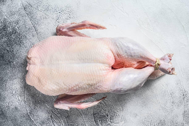 Raw whole duck, poultry meat. White background. Top view
