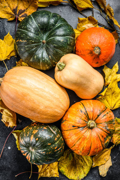 istock Diverse assortment of pumpkins on a table. Black background. Top view 1285156813