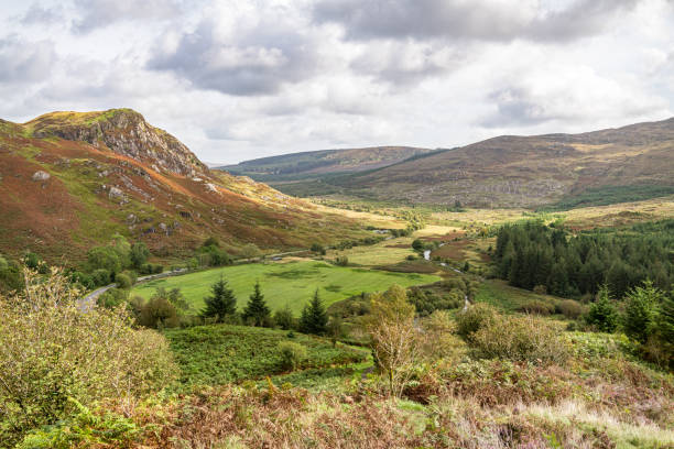istock Bargaly Glen, Dumfries and Galloway, Scotland 1285158011
