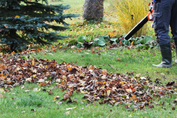 istock Worker cleaning falling leaves in autumn park. Man using leaf blower for cleaning autumn leaves. Autumn season. Park cleaning service. 1285159091