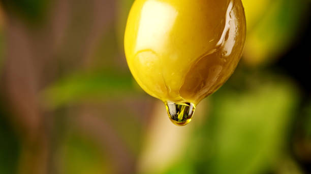Drop of olive oil drips from green olive.