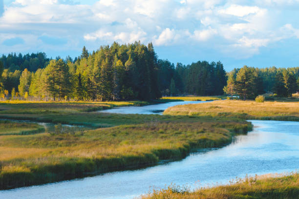 istock Typical swedish landscape near lake during autumn 1285159214
