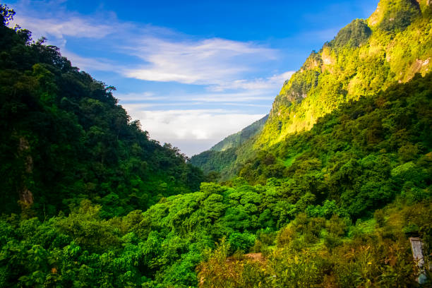 A picturesque view of an Oahu valley stretching towards the ocean, with a lush green landscape leading to the horizon where the blue waters meet the sky.