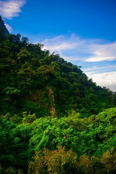 istock green trees in the valley 1285159379